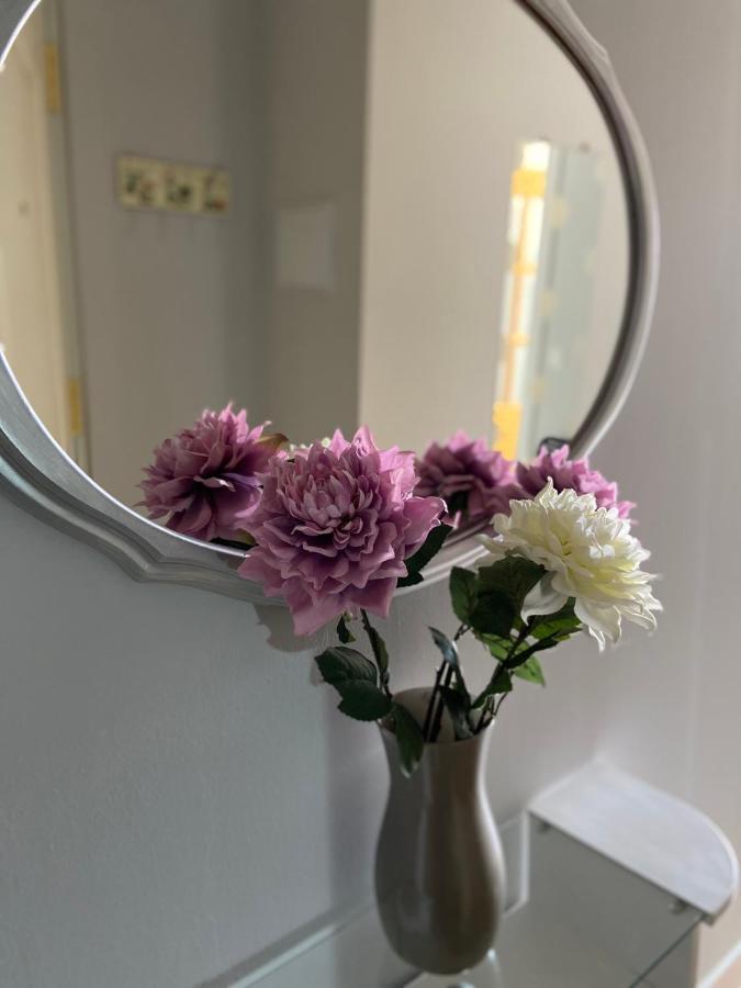 Apartament Venus Salar